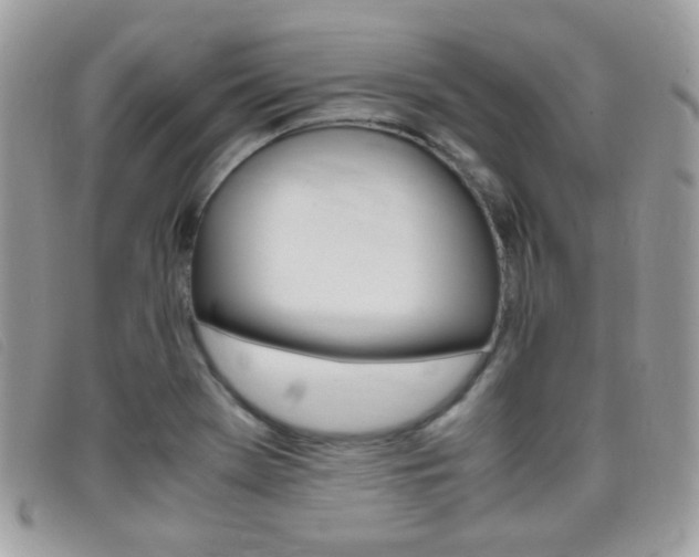 X0000095941369200801110845