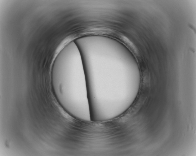 X0000095941370200801110845