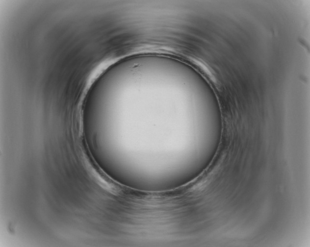 X0000095941371200801110845