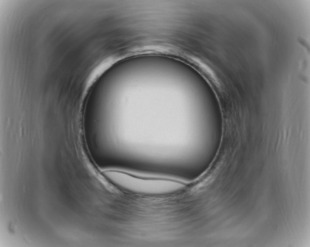 X0000095941373200801110845