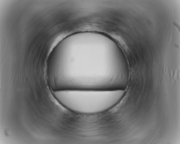 X0000095941374200801110845