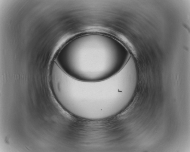 X0000095941376200801110845