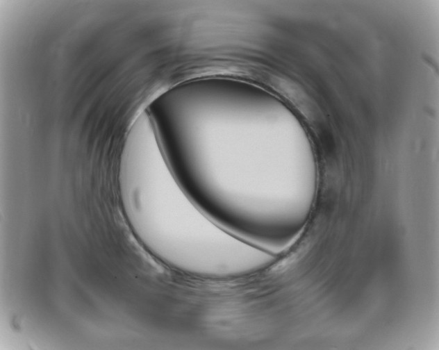 X0000095941377200801110845