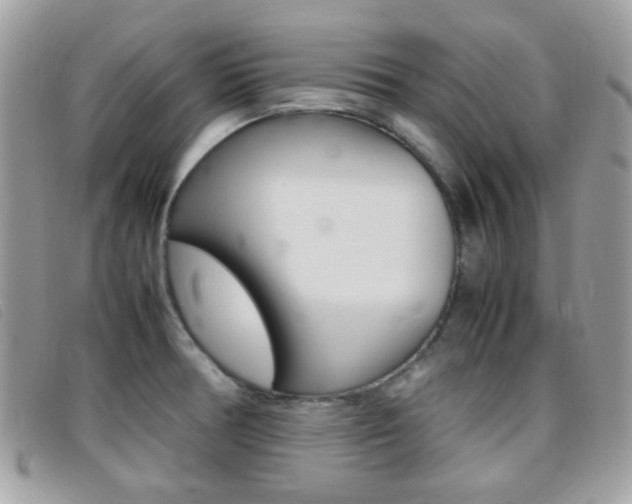 X0000095941378200801110845