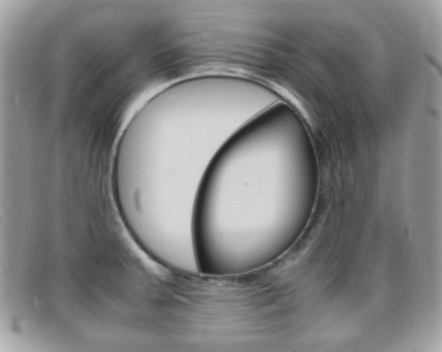 X0000095941379200801110845