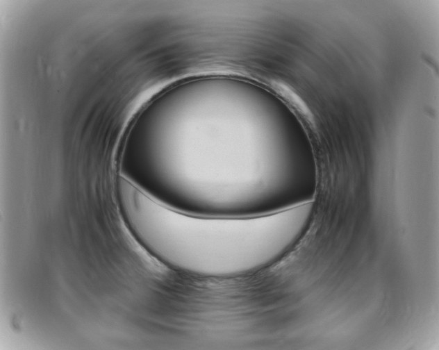 X0000095941380200801110845