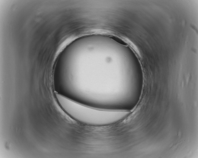 X0000095941381200801110845