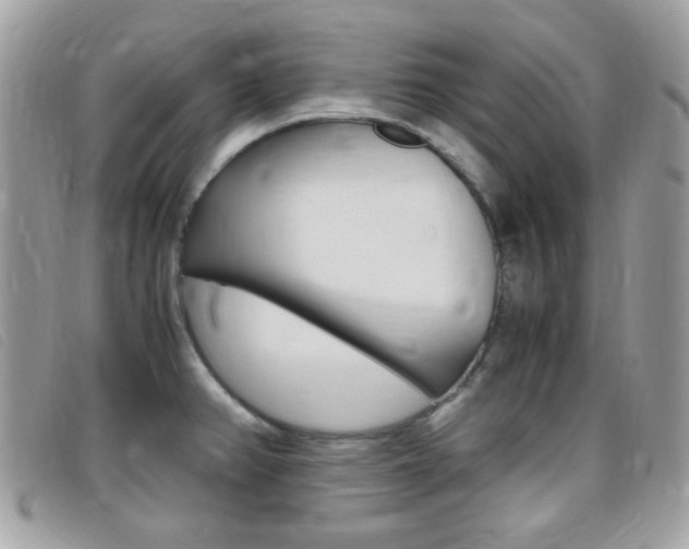 X0000095941382200801110845