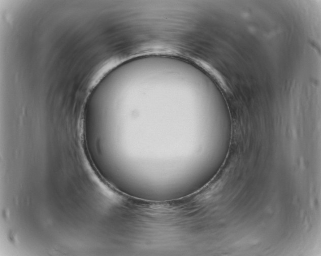 X0000095941383200801110845