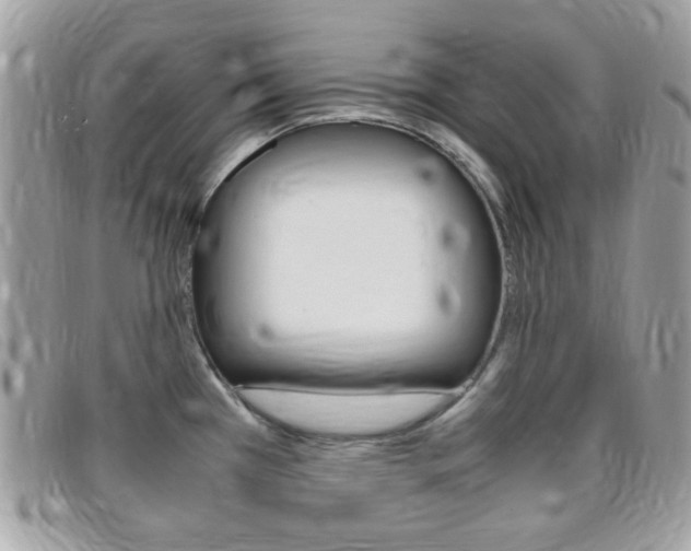 X0000095941385200801110845