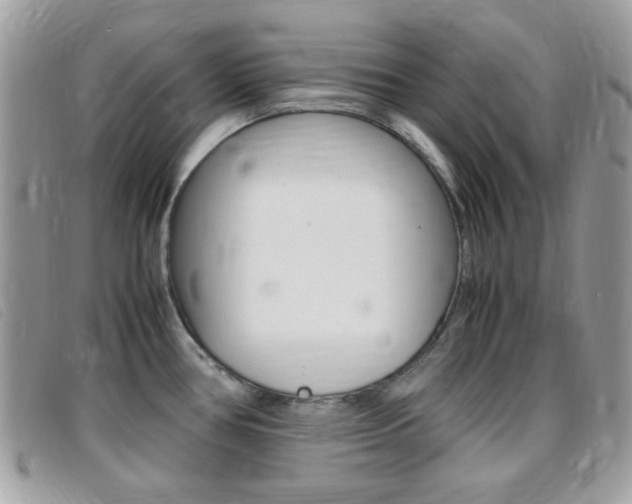 X0000095941386200801110845