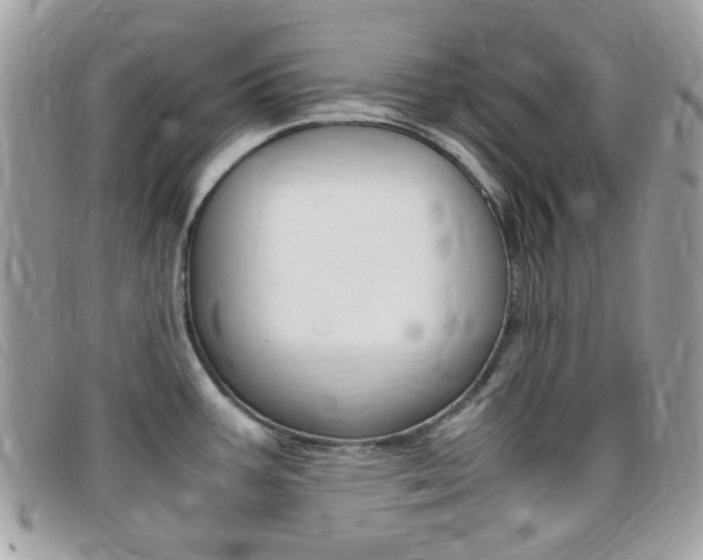 X0000095941387200801110845