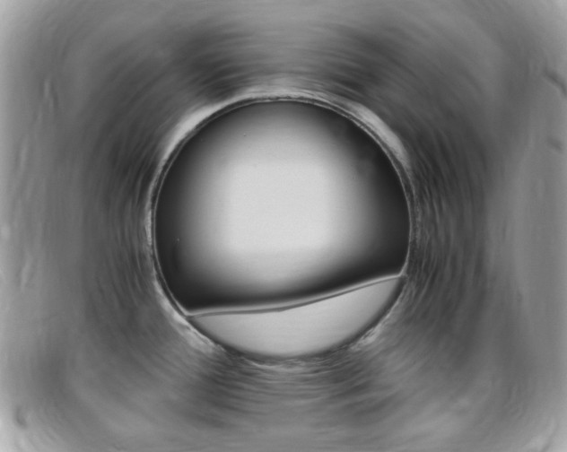 X0000095941388200801110845