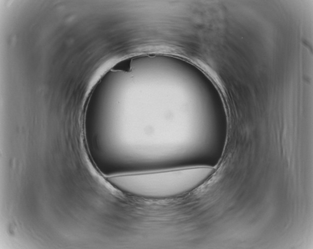 X0000095941389200801110845
