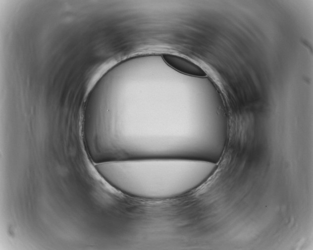 X0000095941390200801110845
