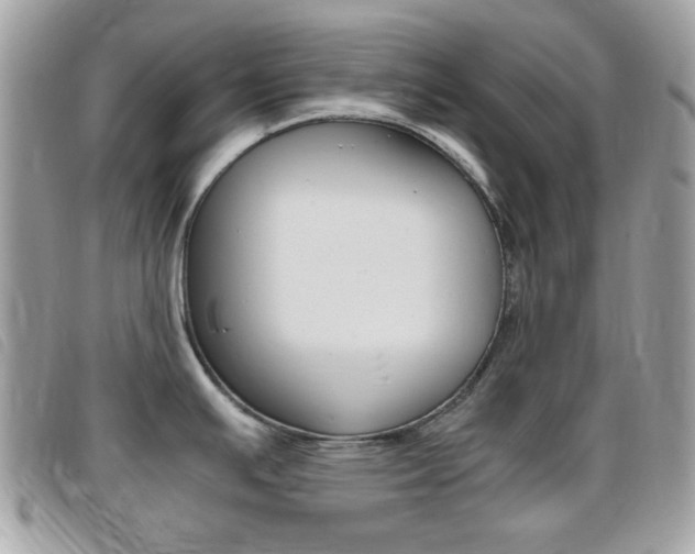 X0000095941391200801110845