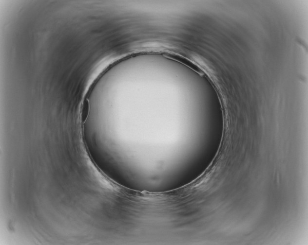 X0000095941392200801110845