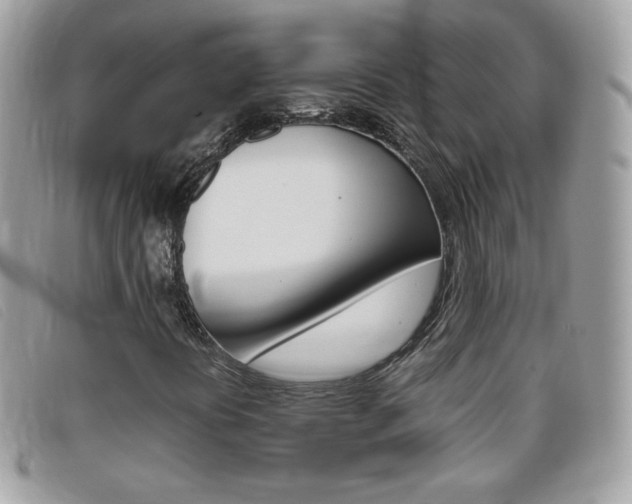 X0000095941394200801110844