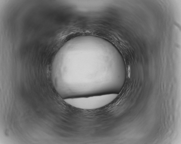 X0000095941395200801110844