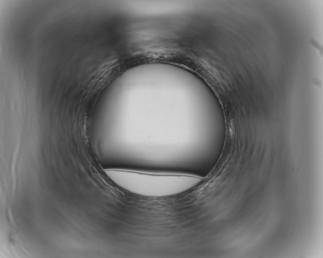 X0000095941396200801110844