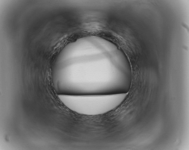 X0000095941397200801110844