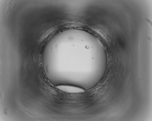 X0000095941399200801110844
