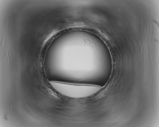 X0000095941400200801110844