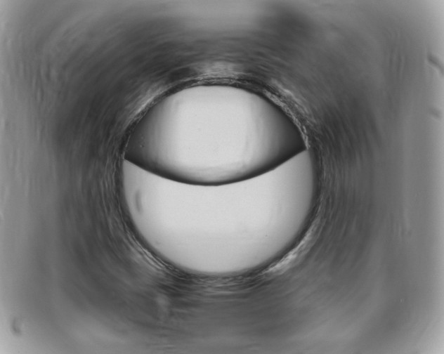X0000095941401200801110844