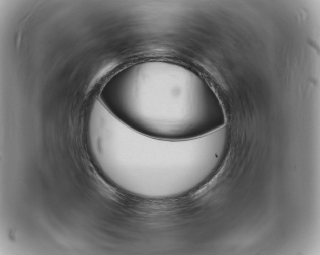 X0000095941402200801110844