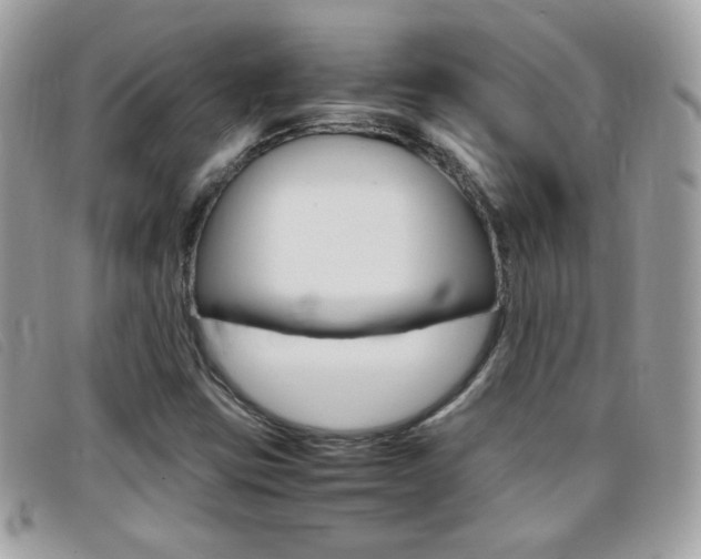 X0000095941403200801110844