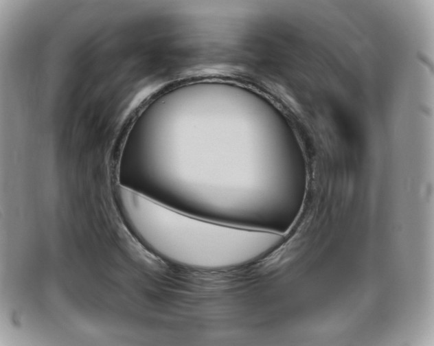 X0000095941404200801110844
