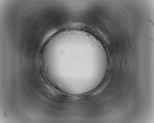 X0000095941405200801110844
