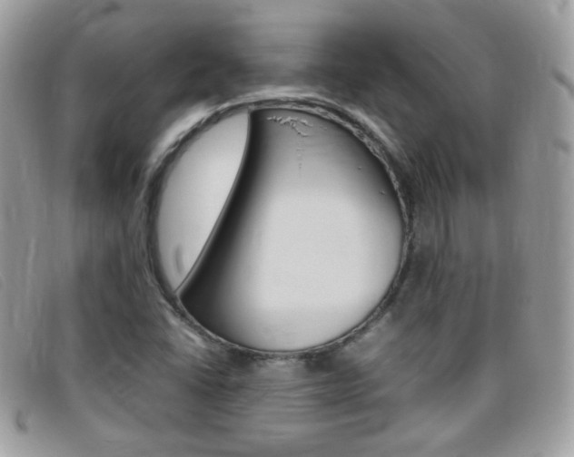 X0000095941406200801110844