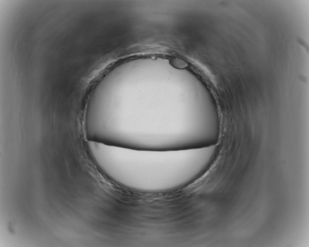 X0000095941407200801110844