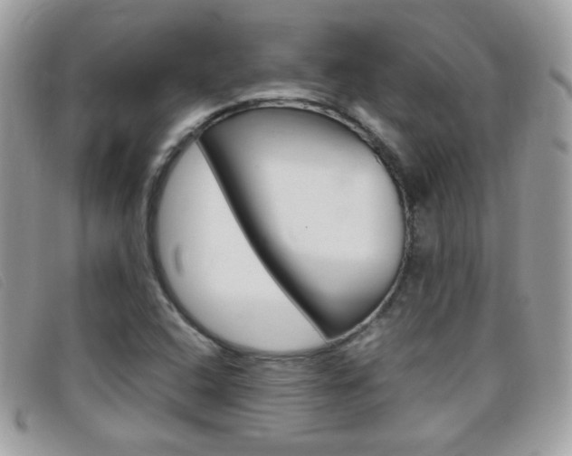 X0000095941408200801110844