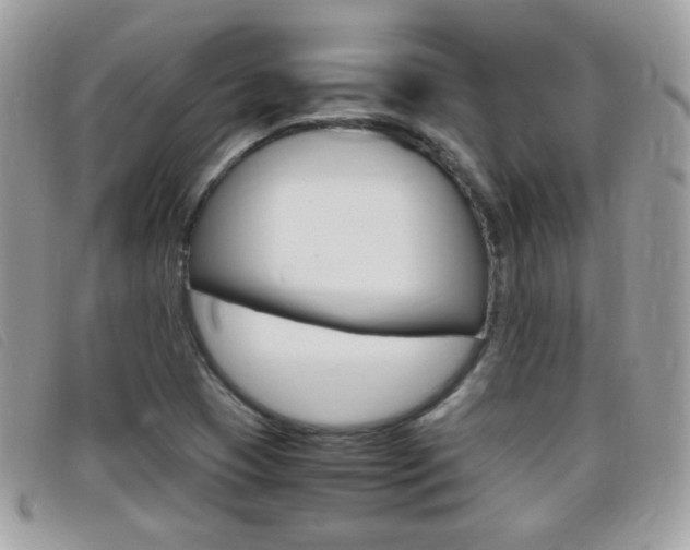 X0000095941409200801110844