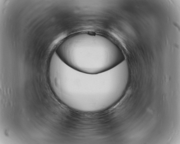 X0000095941411200801110844