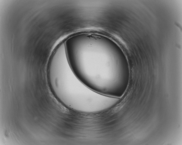 X0000095941412200801110844