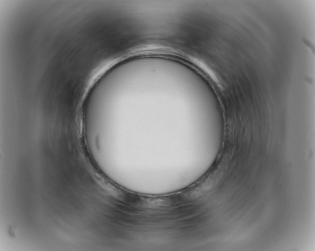 X0000095941413200801110845