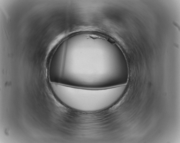 X0000095941414200801110845