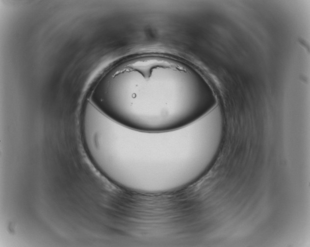 X0000095941416200801110845