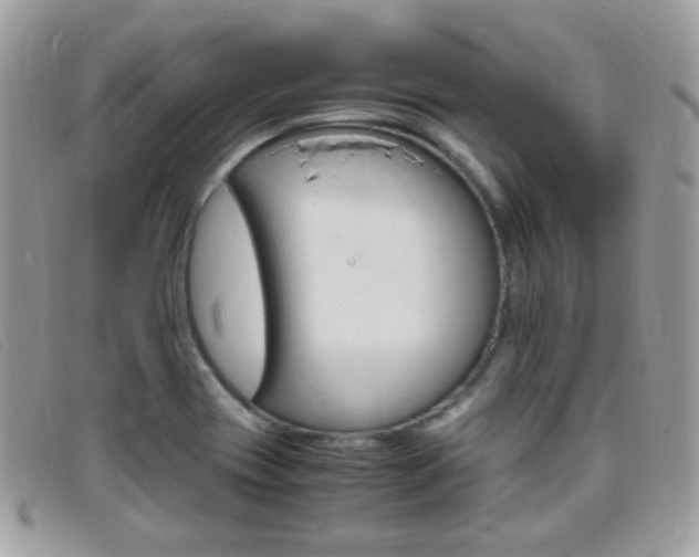 X0000095941417200801110845