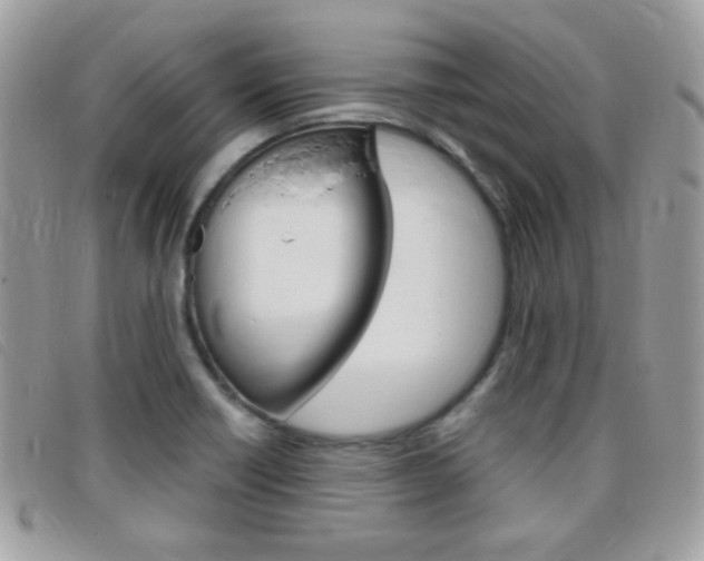 X0000095941418200801110845