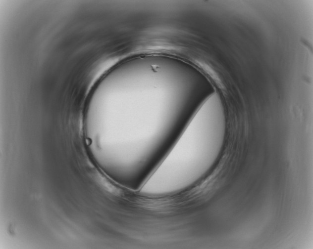 X0000095941420200801110845