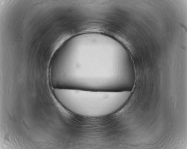 X0000095941423200801110845