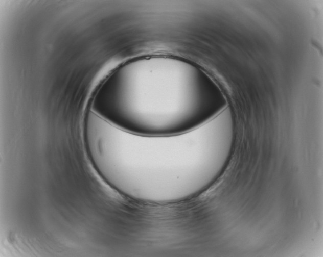 X0000095941424200801110845
