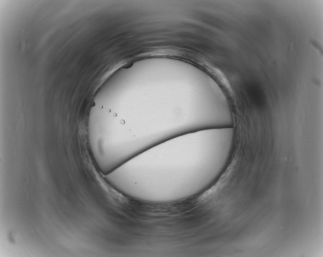 X0000095941425200801110845