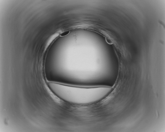 X0000095941426200801110845