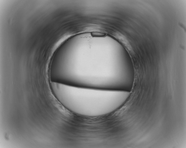 X0000095941427200801110845