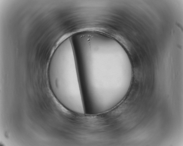 X0000095941428200801110845
